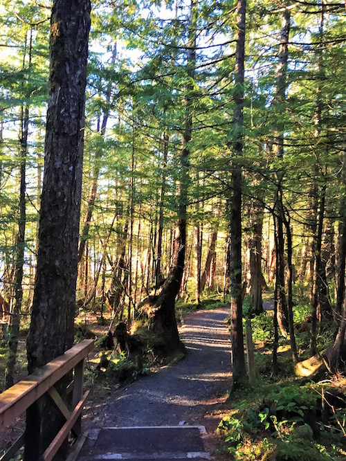 Butze Rapids Trails